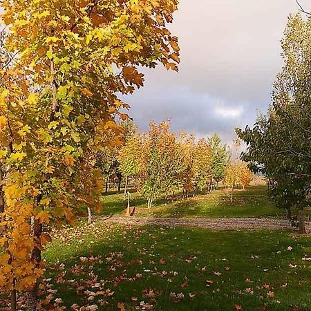 Camping Ain Jaca Exterior foto